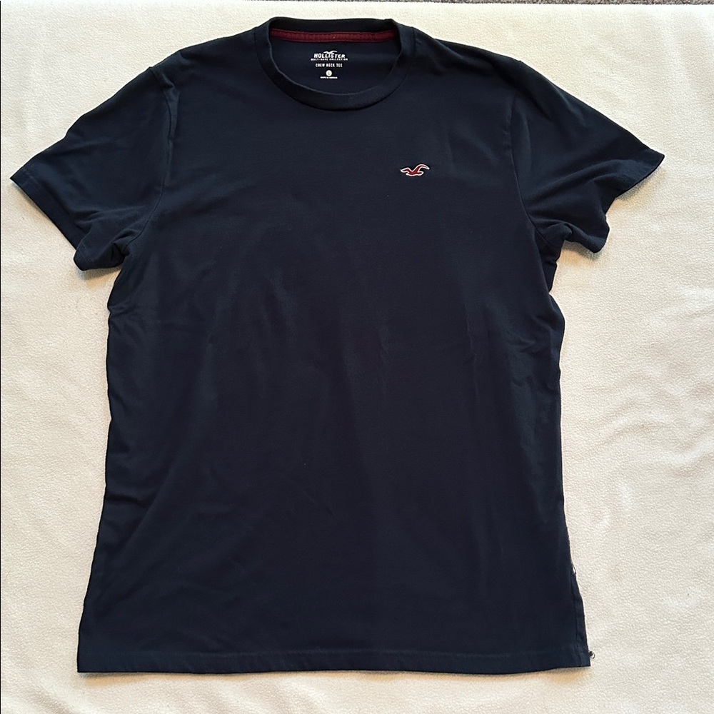 Hollister Tee L